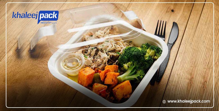 Disposable Plastic Containers